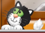 Eigenlijk heet deze kat Jess