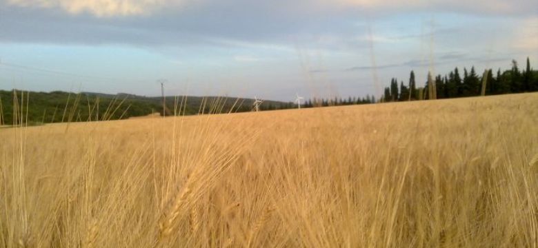 Verslag 1 vanuit Les Fumades