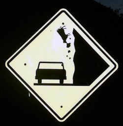 vallende-koeien-ziekte?